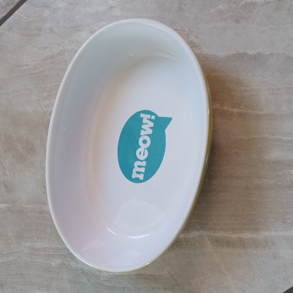 Cat's water bowl